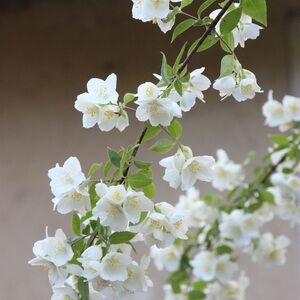 Meet your Posher, Sofia